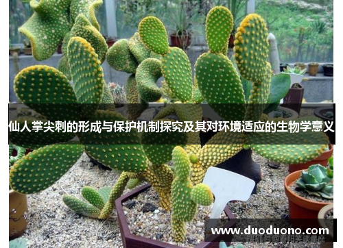仙人掌尖刺的形成与保护机制探究及其对环境适应的生物学意义