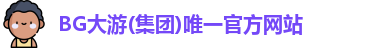 BG大游集团